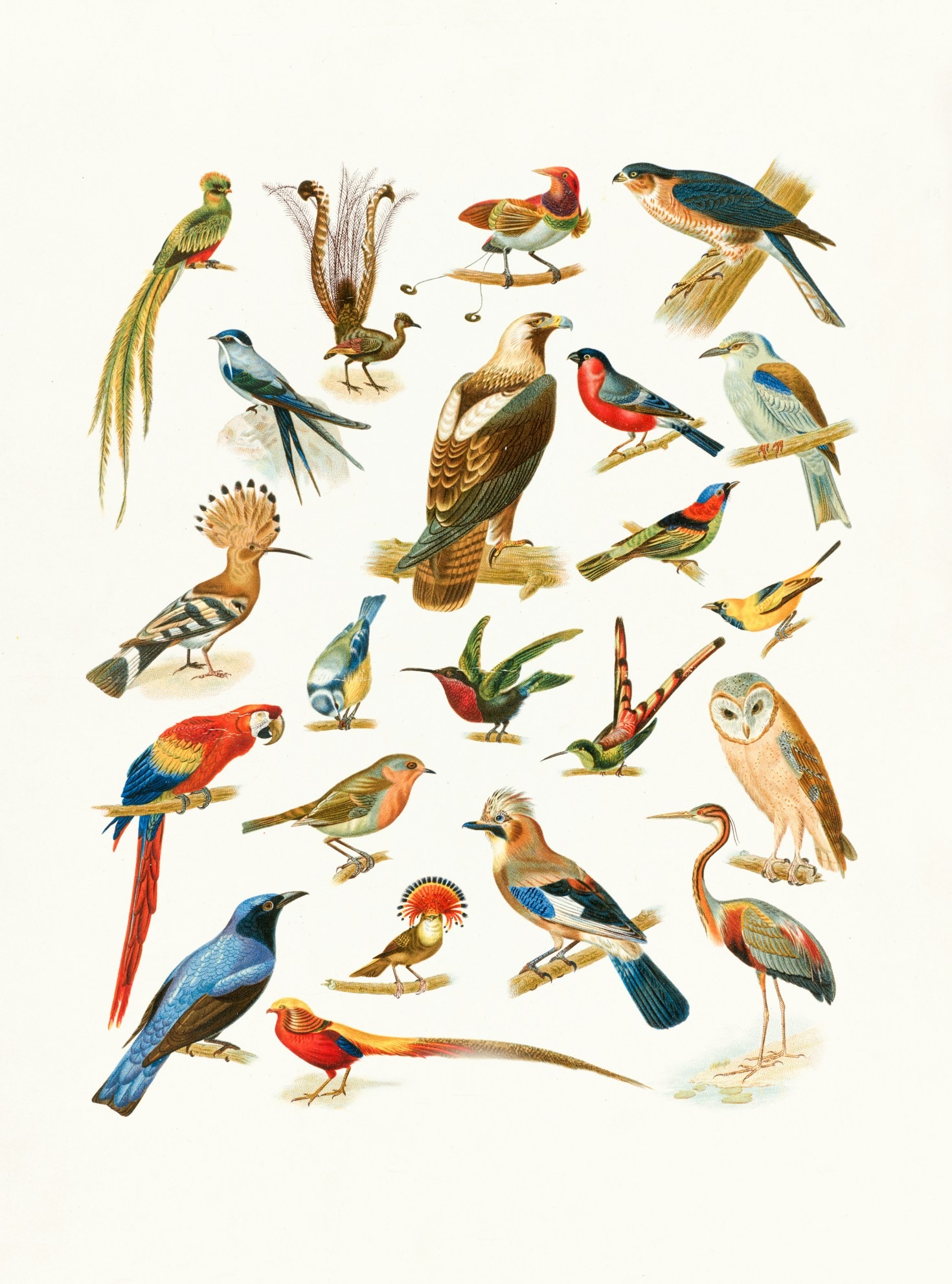 Illustration Services for Unique Artistic Projects