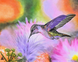 Hummingbird Harmony