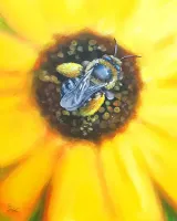 Sunflower Bee